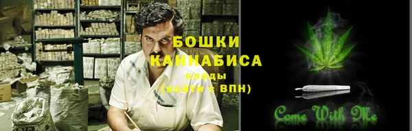 СК Козловка