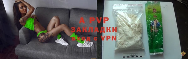 PSILOCYBIN Кодинск