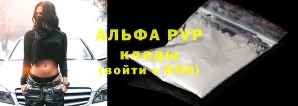 PSILOCYBIN Кодинск