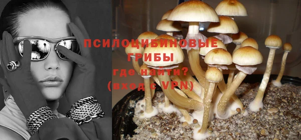 PSILOCYBIN Кодинск