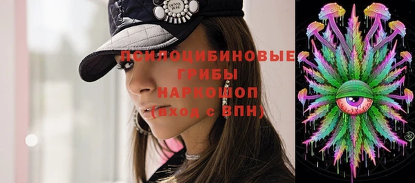 СК Козловка