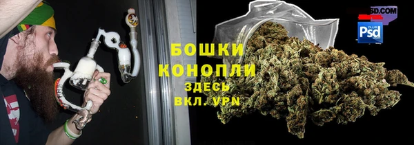 PSILOCYBIN Кодинск
