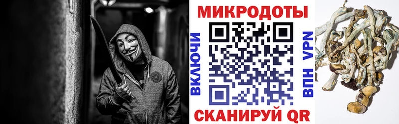 Псилоцибиновые грибы Magic Shrooms Апатиты