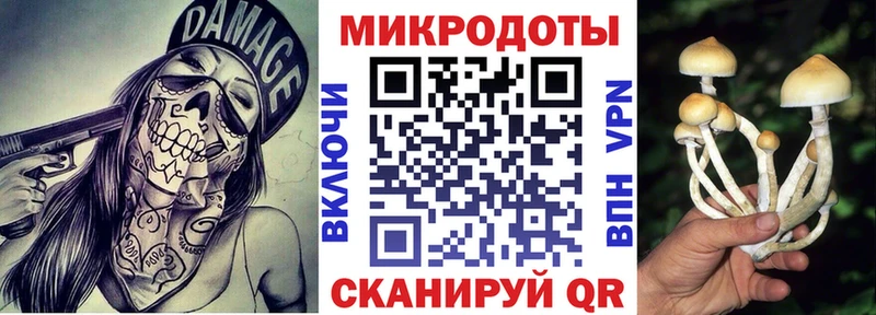 Купить  Апатиты  Псилоцибиновые грибы Psilocybe 
